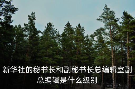 彭樹杰是什么級別，中林集團(tuán)董事長是什么行政級別