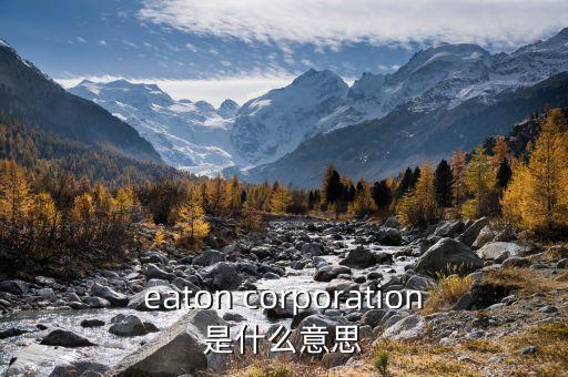 伊頓萬(wàn)斯是什么，vans 是一個(gè)做什么的品牌