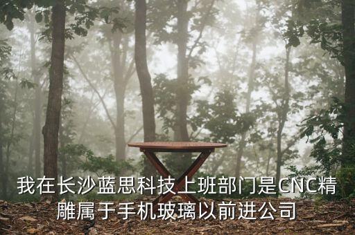我在長(zhǎng)沙藍(lán)思科技上班部門(mén)是CNC精雕屬于手機(jī)玻璃以前進(jìn)公司