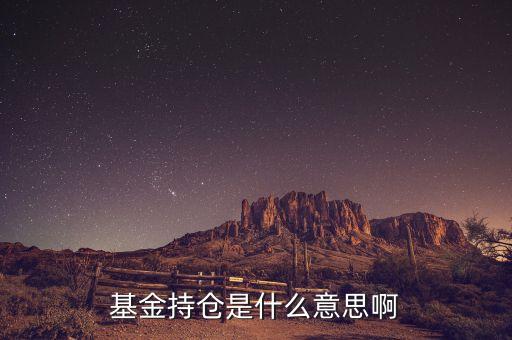 基金持倉(cāng)是什么意思啊