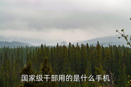 央企領(lǐng)導(dǎo)用什么手機(jī)，國家級(jí)干部用的是什么手機(jī)