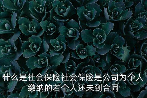 企業(yè)社會(huì)保險(xiǎn)什么意思，單位說的社會(huì)保險(xiǎn)什么意思
