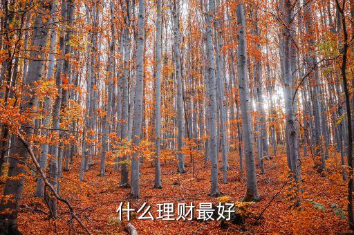 什么理財(cái)投資好，什么樣的理財(cái)項(xiàng)目好