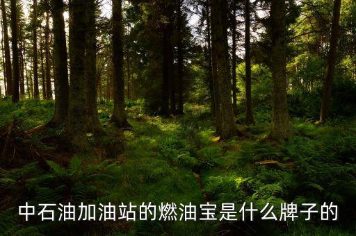 珠海中國石油里賣的是什么燃油寶，燃油寶是什么網(wǎng)上有得賣嗎