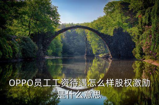 全員持股什么意思，OPPO員工工資待遇怎么樣股權(quán)激勵是什么意思