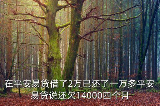 在平安易貸借了2萬(wàn)已還了一萬(wàn)多平安易貸說(shuō)還欠14000四個(gè)月