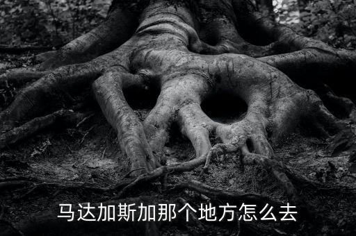 出口馬達(dá)加斯加要做什么，如何進(jìn)口馬達(dá)加斯加海魚