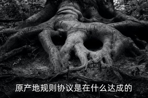 原產地規(guī)則協議是在什么達成的