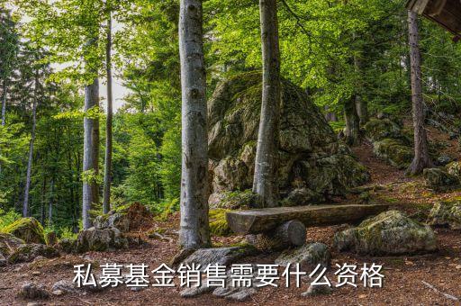 銷(xiāo)售基金需要什么資質(zhì)，財(cái)富公司銷(xiāo)售金融產(chǎn)品需要什么牌照或者資質(zhì)