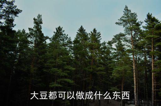大豆都可以做成什么東西