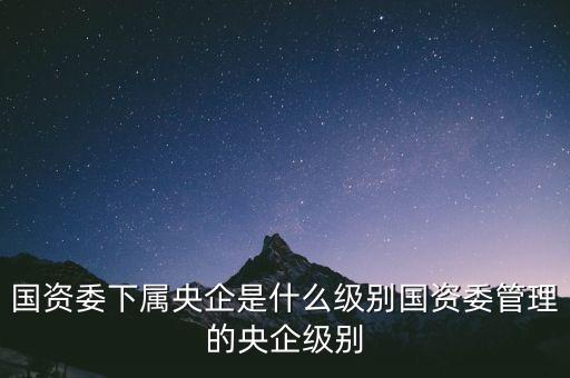 央企局級是什么級別，國企現(xiàn)在的行政級別是怎么劃分的謝謝