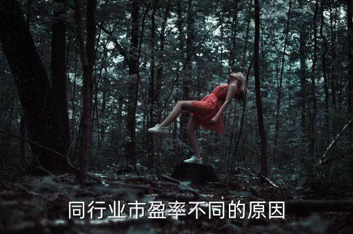 同行業(yè)市盈率不同的原因