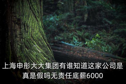 申彤大大集團賺的什么錢發(fā)工資，上海申彤大大集團有誰知道這家公司是真是假嗎無責任底薪6000
