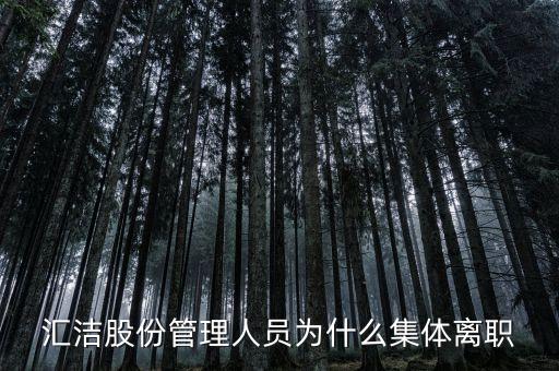 匯潔股份是做什么的，匯潔股份今天開盤為什么跌停謝謝