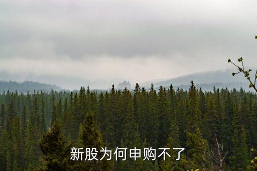 為什么申購(gòu)不到新股，新股為何申購(gòu)不了