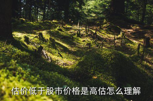 估值低于牛市起點是什么意思，估價低于股市價格是高估怎么理解