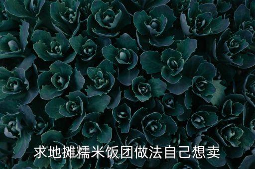 求地攤糯米飯團做法自己想賣