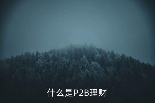 什么是P2B理財(cái)
