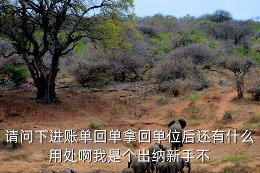 請問下進(jìn)賬單回單拿回單位后還有什么用處啊我是個(gè)出納新手不