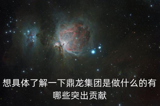 武漢龍鼎集團(tuán)做什么的，想具體了解一下鼎龍集團(tuán)是做什么的有哪些突出貢獻(xiàn)