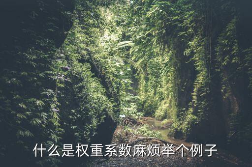 股票中市場價值權(quán)重指數(shù)是什么，權(quán)重指標股是什么股