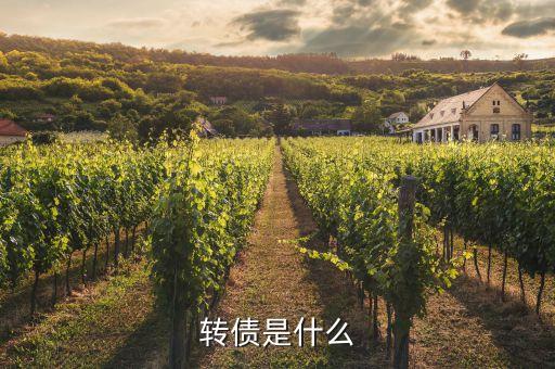浙能轉(zhuǎn)債是什么，浙能電力轉(zhuǎn)債贖回兌付摘牌是利好還是利空