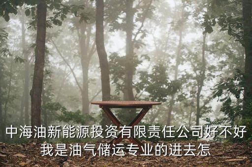 中海油新能源投資有限責(zé)任公司好不好我是油氣儲(chǔ)運(yùn)專(zhuān)業(yè)的進(jìn)去怎