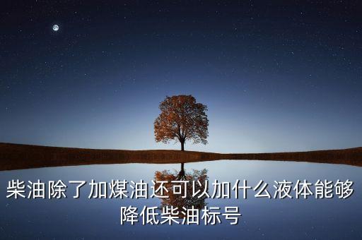國二柴油車加什么能降低排放，柴油除了加煤油還可以加什么液體能夠降低柴油標號