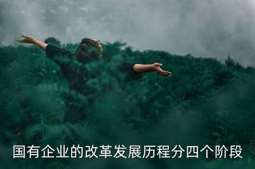 國有企業(yè)的改革發(fā)展歷程分四個階段