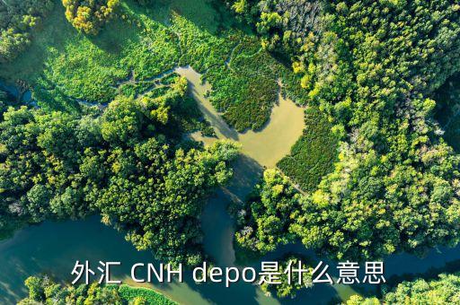 外匯de30是什么，新手一枚想知道TigerWit老虎外匯中的us30是什么意思