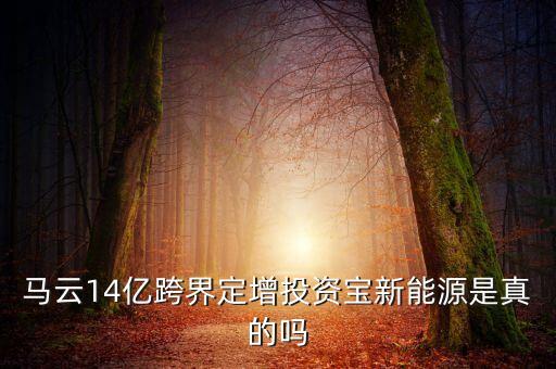 馬云14億跨界定增投資寶新能源是真的嗎