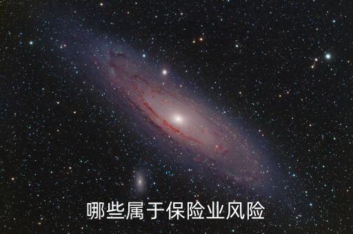 哪些屬于保險(xiǎn)業(yè)風(fēng)險(xiǎn)