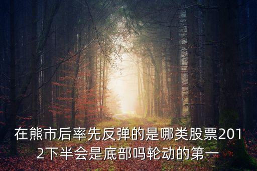 熊市反彈什么股最強，在熊市后率先反彈的是哪類股票2012下半會是底部嗎輪動的第一