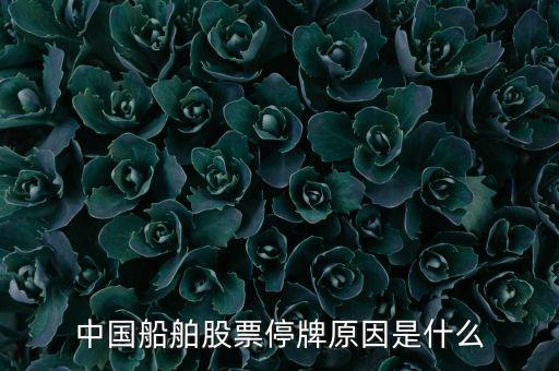 中國(guó)船舶股票停牌原因是什么
