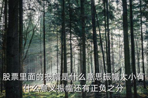 股票里面的振幅是什么意思振幅大小有什么意義振幅還有正負(fù)之分