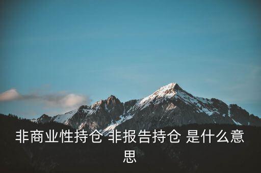 非商業(yè)性持倉 非報(bào)告持倉 是什么意思