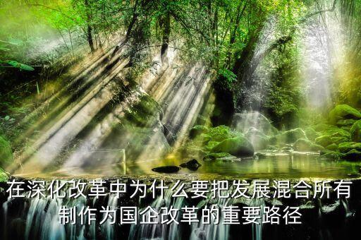 為什么要混合所有制，國(guó)有企業(yè)為什么要混合所有制經(jīng)濟(jì)