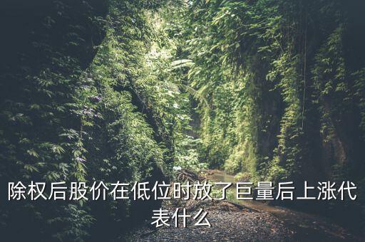 除權(quán)后股價(jià)在低位時(shí)放了巨量后上漲代表什么