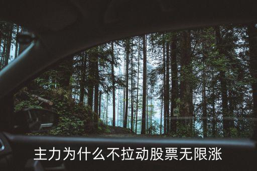 主力為什么不拉動(dòng)股票無(wú)限漲