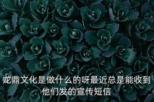 龍鼎文化是做什么的呀最近總是能收到他們發(fā)的宣傳短信