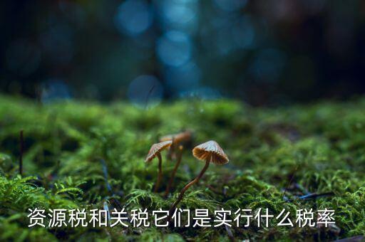 資源稅采用什么稅率，資源稅的計(jì)稅依據(jù)是什么稅率是多少