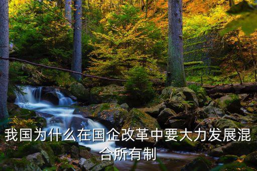 我國為什么在國企改革中要大力發(fā)展混合所有制