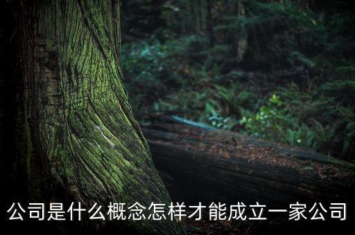公司是什么概念怎樣才能成立一家公司