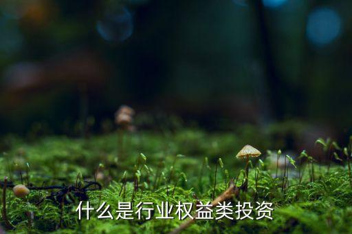 什么是權(quán)益類投資產(chǎn)品，權(quán)益類投資是什么