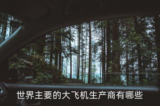 西飛為大飛機生產(chǎn)什么東西，世界主要的大飛機生產(chǎn)商有哪些