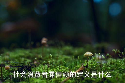 社會(huì)消費(fèi)者零售額的定義是什么