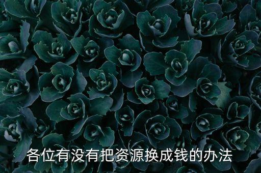 通過什么將資源轉(zhuǎn)化為財富，各位有沒有把資源換成錢的辦法