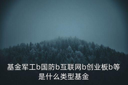 軍工b的母基金是什么，國防B軍工B這些都是什么意思可以在領盈股票上買入嗎