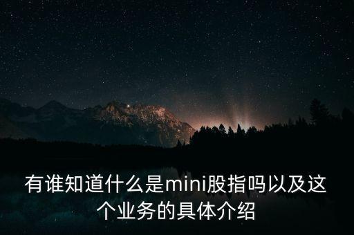 有誰知道什么是mini股指嗎以及這個業(yè)務的具體介紹