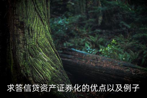 什么是銀行的spv賬戶，誰愿意購買銀行的MBS資產(chǎn)證券